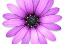 TextMate 2.0.21（文本编辑器）for Mac破解版
