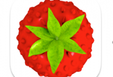 Smultron 12.3（网页文本编辑器）for Mac中文破解版